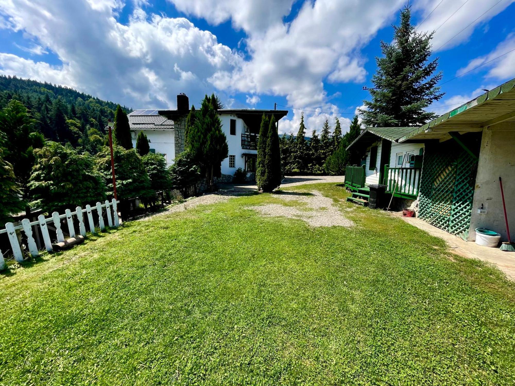 Hotel Vila Horia Bradet Săcele Exteriér fotografie